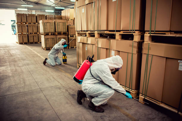 Best Best Pest Control Companies  in Independence, VA