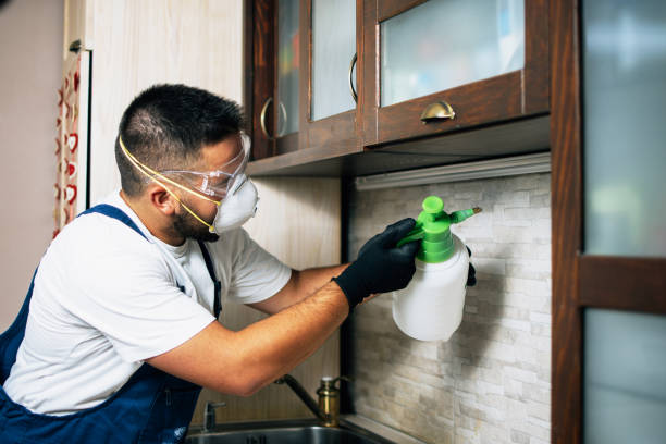 Best Mosquito Control Services  in Independence, VA