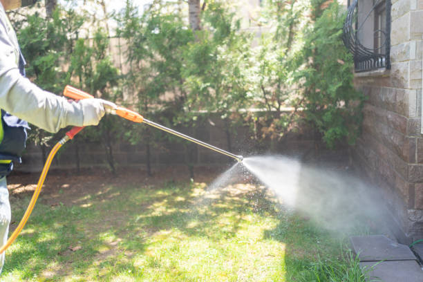 Best Best Pest Control Companies  in Independence, VA