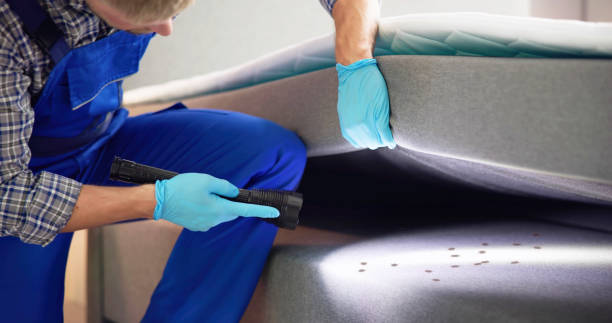 Best Pest Control Near Me  in Independence, VA