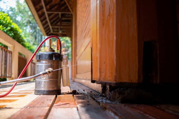 Best Pest Prevention Services  in Independence, VA