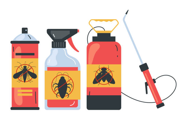 Best Affordable Pest Control Services  in Independence, VA